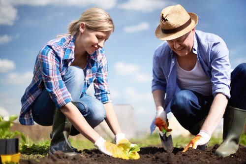 Professional landscape gardening in Pimlico
