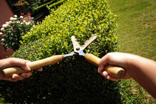 A close-up view of two hands holding garden pruning shears, trimming a dense, well-maintained hedge with small, bright green leaves in a suburban garden. The hedge is part of a landscaped outdoor space featuring a lawn with neatly cut grass, a paved pathway, and flower pots with blooming plants in the background. The scene is under natural daylight, indicating a clear, sunny day typical of British gardens in Pimlico, London. The hedge's tidy appearance and gardening tools suggest professional or careful personal gardening maintenance, aligning with services offered by Landscapers Pimlico for residential and commercial clients seeking garden pruning and hedge trimming in the local area.