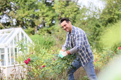 A man in a checkered shirt and jeans is tending to a vibrant garden with blooming pink and red roses. He is smiling and wearing gardening gloves while carefully pruning or planting in a flower bed, which is bordered by lush greenery and a variety of shrubs. In the background, there is a small green house or greenhouse structure with transparent panels, set against a backdrop of mature trees and a well-maintained lawn area. The garden features a mix of flower beds, soil, and grass, with natural light highlighting the fresh, healthy foliage and the rich tones of the flowers. This outdoor space exemplifies a neat and cultivated residential garden, typical of a Pimlico property, prepared for seasonal planting and outdoor maintenance, reflecting professional gardening efforts by Landscapers Pimlico.