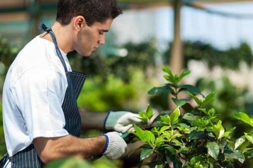 Supplier audit and compliance checklist for landscaping operations