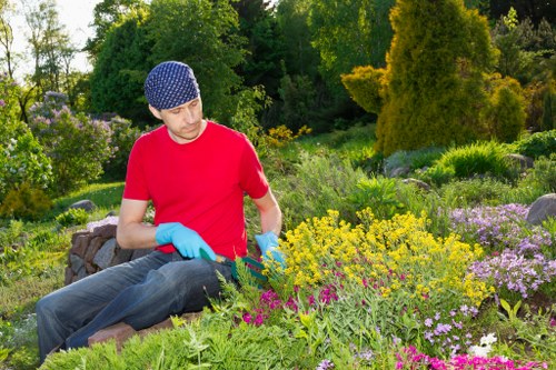 A man wearing a red t-shirt, blue gloves, and a patterned blue cap is kneeling in a lush, well-maintained garden in Pimlico, surrounded by a variety of colorful flowering plants and shrubs. The garden features a neatly arranged mix of vibrant yellow, pink, purple, and green foliage, with a dense backdrop of tall trees and bushes that provide privacy and natural borders. The soil beds are well-defined, with some areas covered by low-growing ground cover plants and others featuring taller flowering species. Sunlight filters through the trees, illuminating the scene and highlighting the textures and shades of the diverse plant life. The man appears to be engaged in gardening work, possibly planting or maintaining the flower beds, illustrating professional outdoor home garden care in the Pimlico area, as shown on the landscaperspimlico.co.uk webpage about garden renovations and landscaping services.