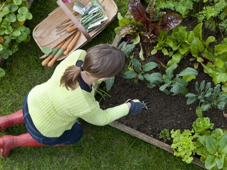 Curb appeal enhanced by Pimlico landscaping