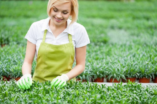A young woman with blonde hair, smiling, dressed in a white shirt and a light green apron, working in a garden nursery or plant nursery with rows of small green plants on plant trays. She is wearing gardening gloves and appears to be examining or tending to the plants. The background shows more rows of similar plants, indicating a well-organised outdoor gardening space, possibly part of a landscaping or gardening service in Pimlico. The environment looks bright and well-maintained, with natural daylight and a lush, healthy appearance of the plants, highlighting professional outdoor care and horticultural activities.