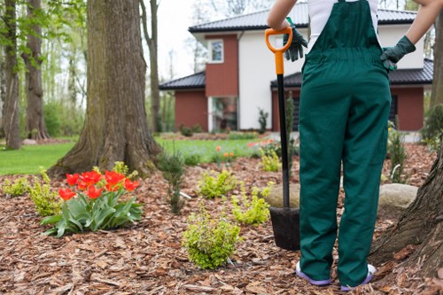 Gardener assessing Pimlico garden soil and climate
