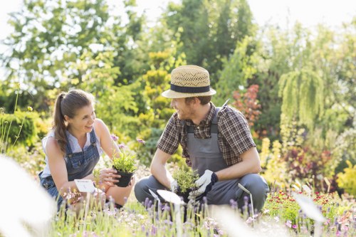 Landscapers Pimlico commitment to ethical and responsible operations