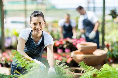 Expert team of Premier Landscapers Pimlico at work